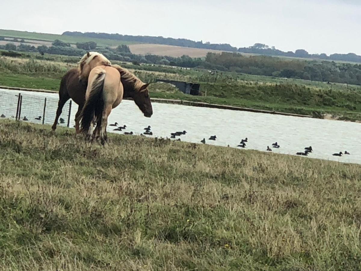 Le Gite De Martine En Baie De Somme Villa Lancheres Eksteriør bilde