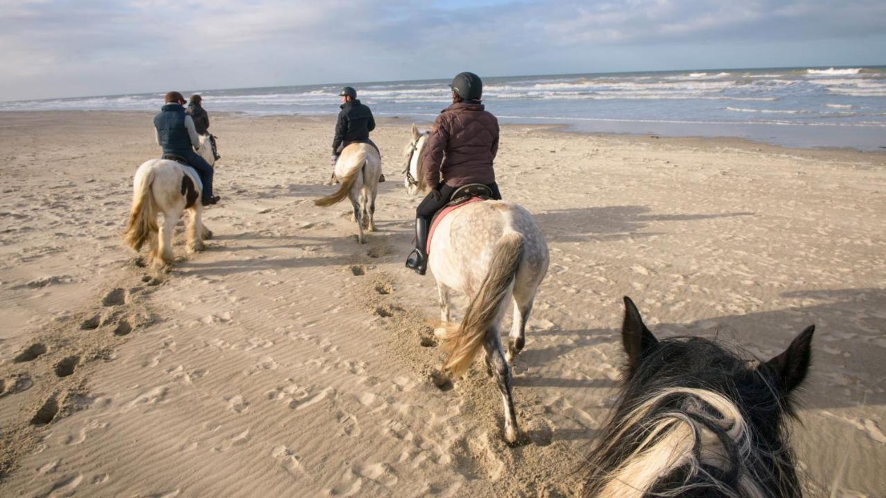 Le Gite De Martine En Baie De Somme Villa Lancheres Eksteriør bilde